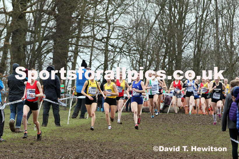 Womens under-20s, 2020 British Athletics Inter Counties Cross Country Champs., Prestwold Hall, Loughborough. Photo: David T. Hewitson/Sports for All Pics
